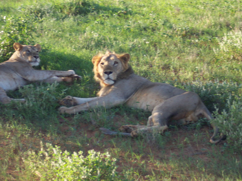 kenya0177.JPG