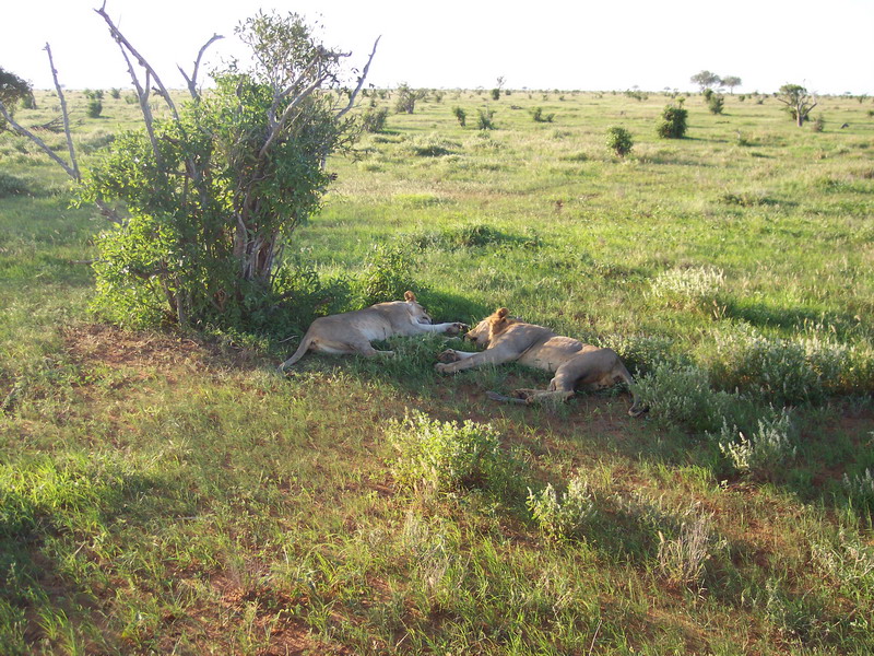 kenya0178.JPG