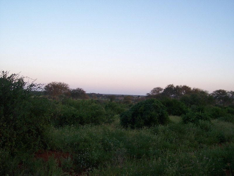 kenya0179.JPG
