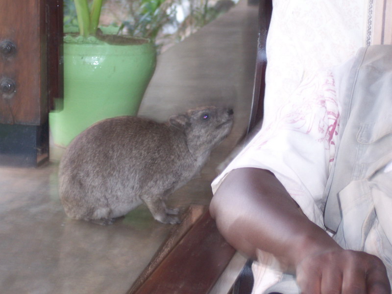 kenya0185.JPG