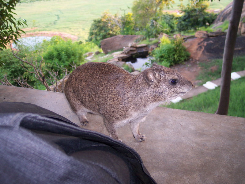 kenya0186.JPG
