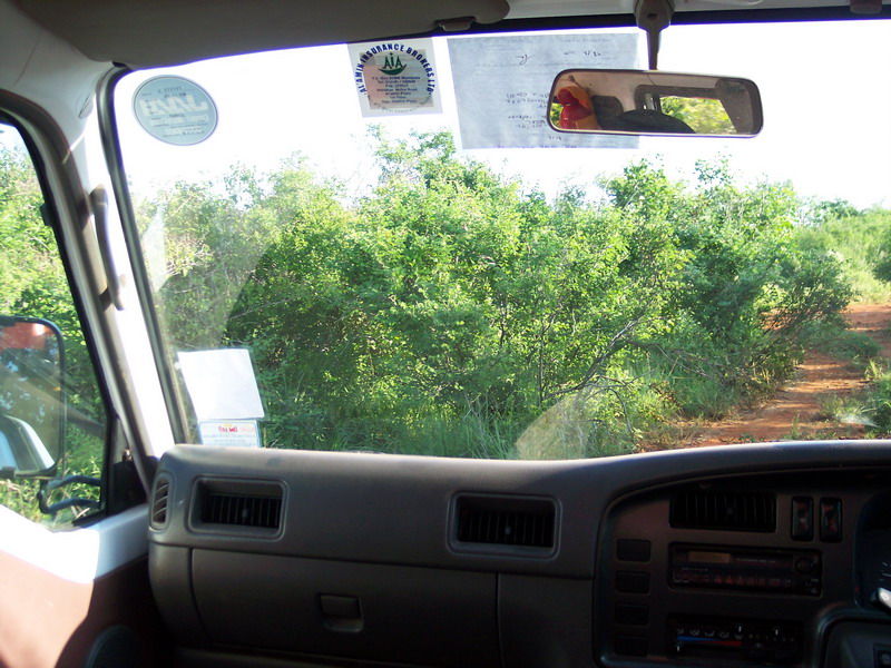 kenya0193.JPG