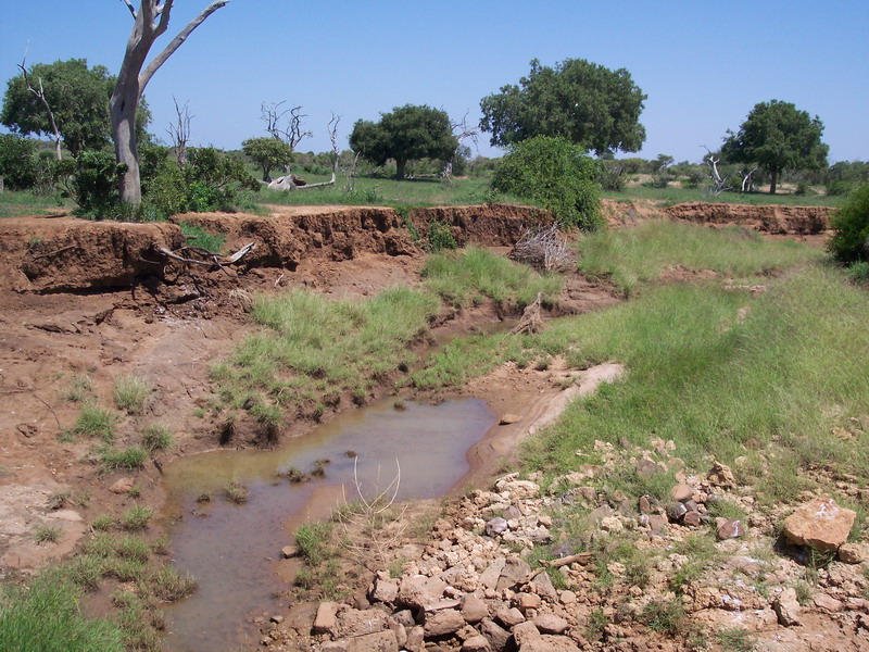kenya0203.JPG