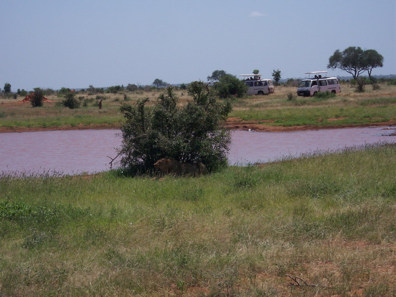 kenya0204.JPG