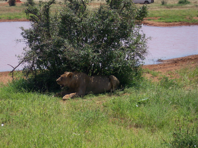 kenya0205.JPG