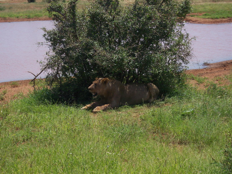 kenya0206.JPG