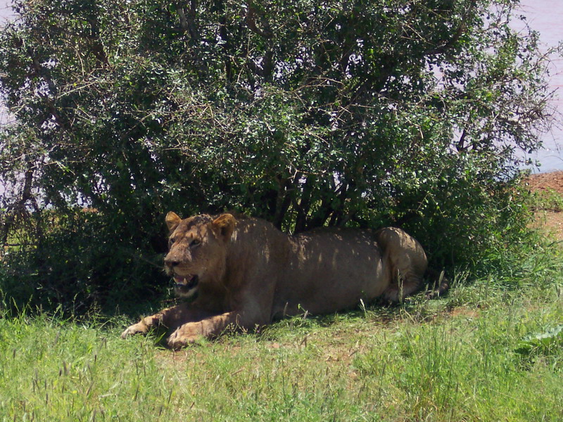 kenya0207.JPG