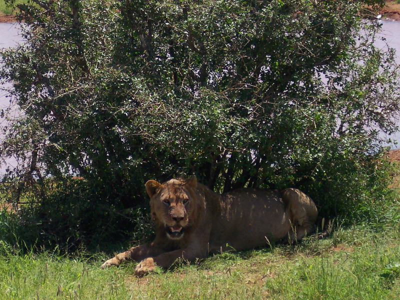 kenya0208.JPG
