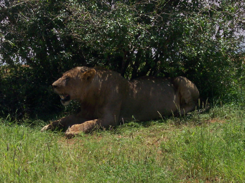 kenya0209.JPG