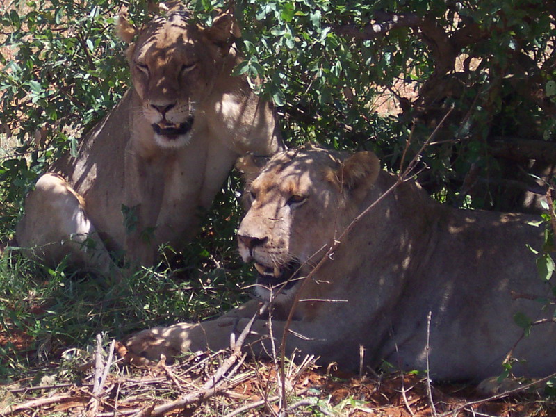 kenya0214.JPG