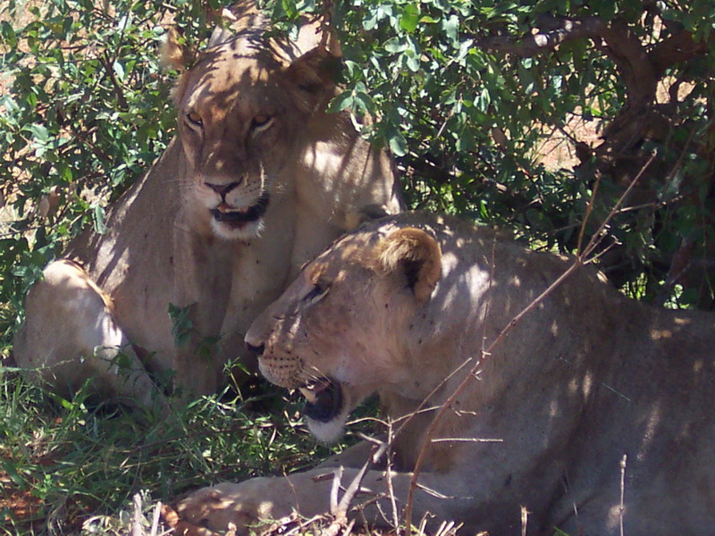 kenya0215.JPG