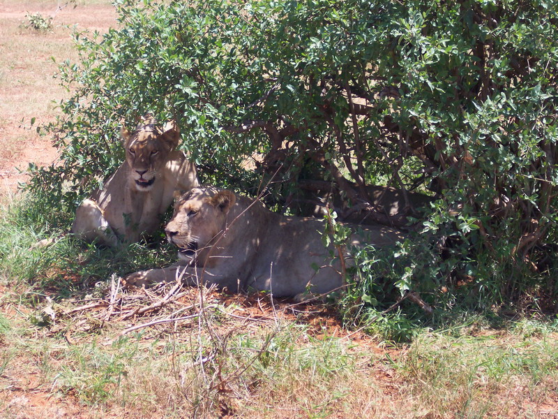kenya0216.JPG