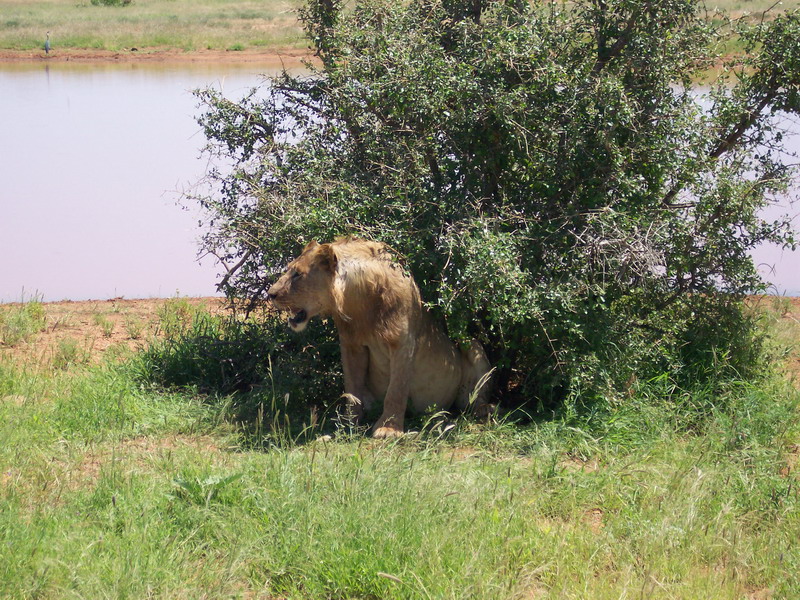 kenya0217.JPG