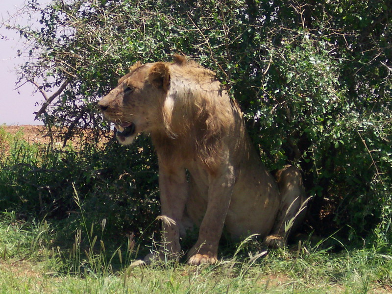 kenya0218.JPG