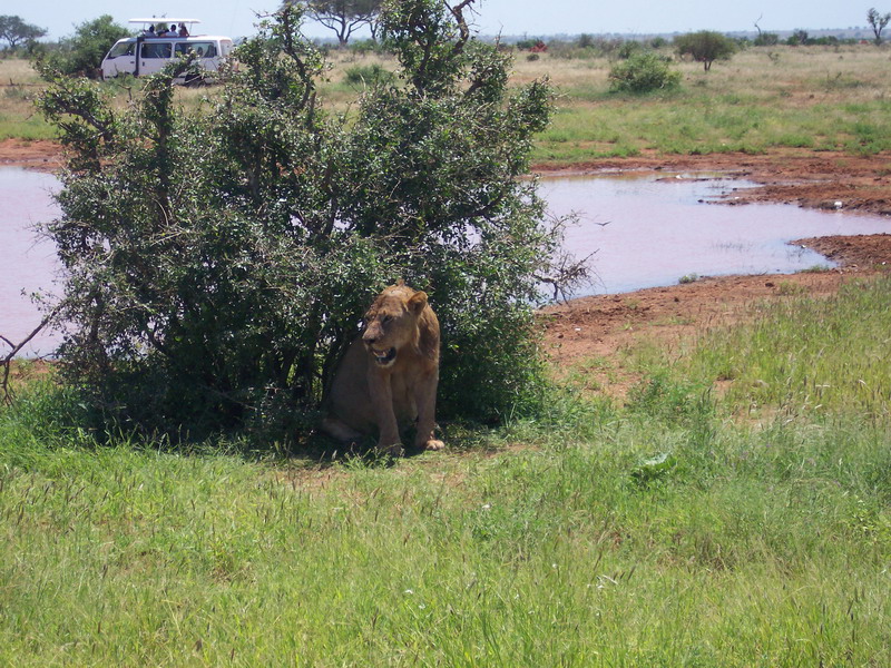 kenya0219.JPG