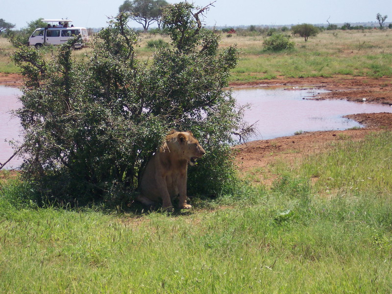 kenya0220.JPG