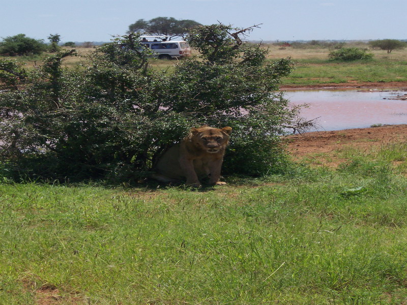kenya0221.JPG