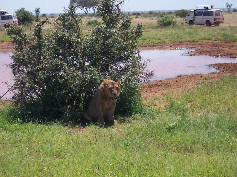 kenya0222.JPG