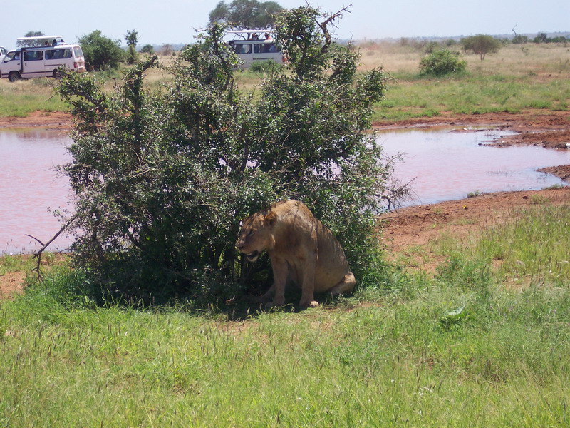 kenya0223.JPG
