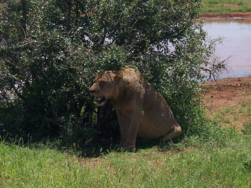 kenya0224.JPG