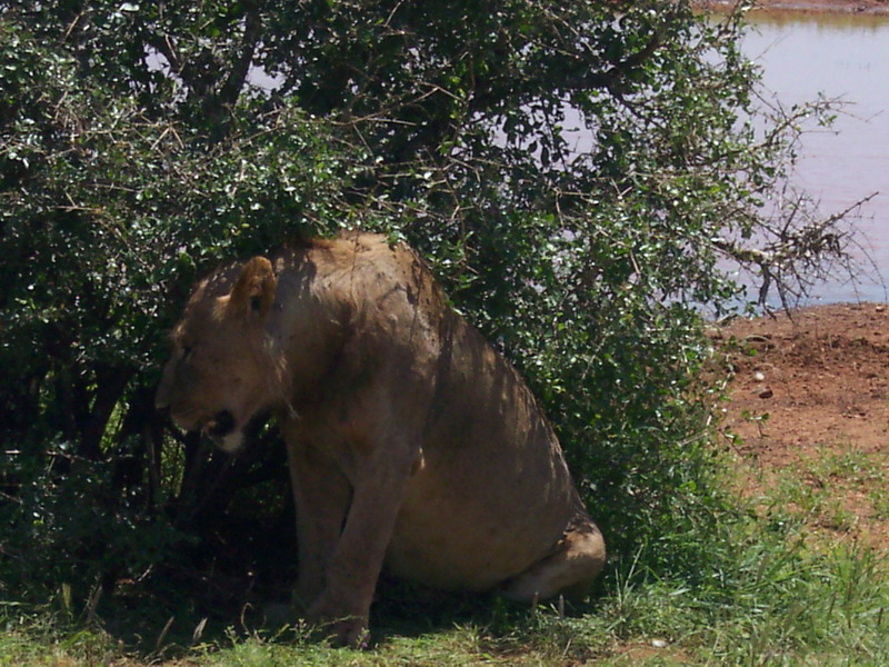 kenya0225.JPG
