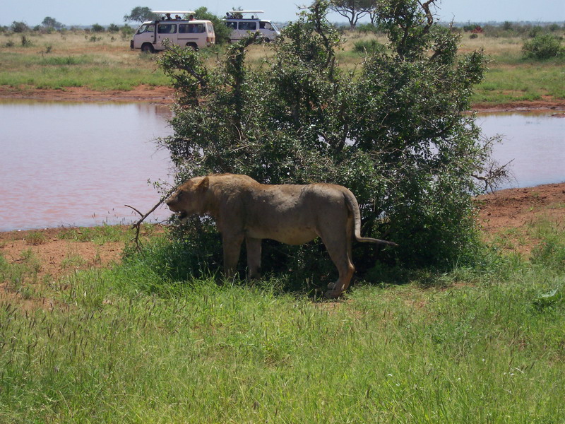 kenya0226.JPG