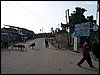kenya0007.JPG