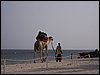 kenya0020.JPG