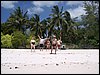 kenya0039.JPG
