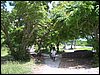 kenya0042.JPG