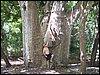 kenya0044.JPG