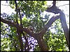 kenya0046.JPG