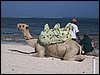 kenya0064.JPG