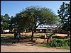 kenya0078.JPG