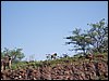 kenya0083.JPG