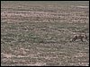 kenya0087.JPG