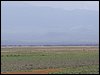 kenya0088.JPG