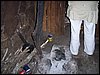 kenya0107.JPG