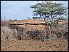 kenya0115.JPG