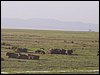 kenya0121.JPG