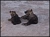 kenya0123.JPG