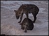 kenya0124.JPG