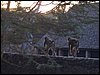 kenya0128.JPG