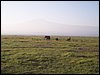 kenya0136.JPG