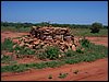 kenya0149.JPG