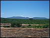 kenya0156.JPG