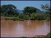 kenya0160.JPG