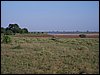 kenya0167.JPG