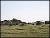 kenya0168.JPG