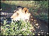 kenya0171.JPG